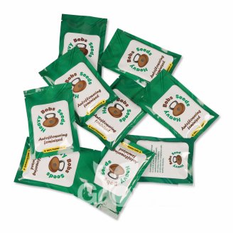 Killer Kush Auto Fem.