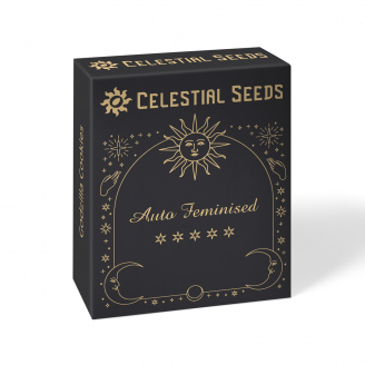 Семена конопли купить сорт Acid Rain Auto Fem.
