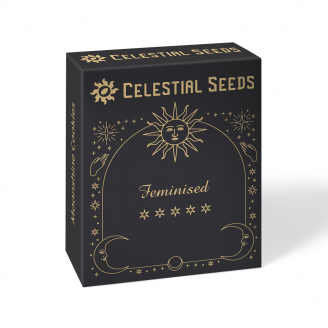 Семена конопли купить сорт Pink Rozay Fem.