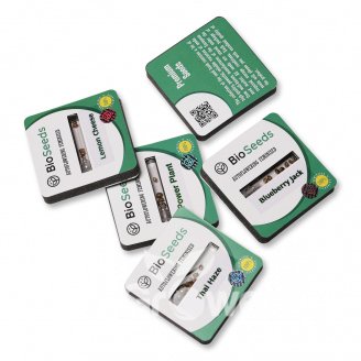 Dos-Wi-Dos Auto Fem.