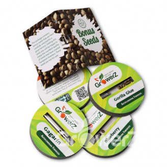 White Dwarf Auto Fem.