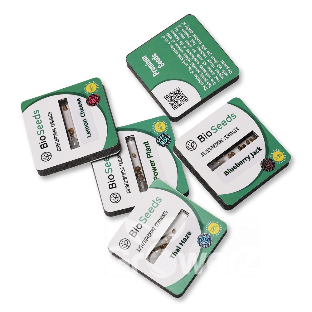 White Widow Auto Fem.