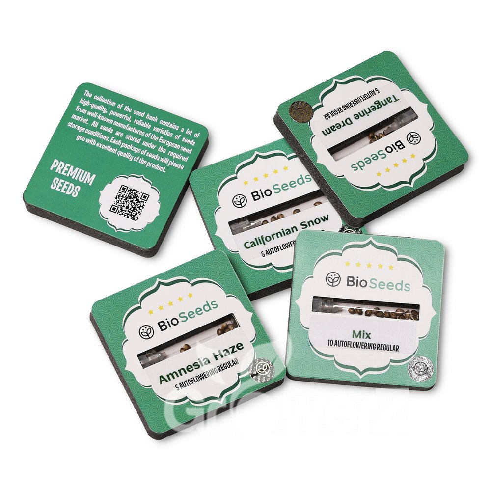 Amnesia Haze Auto Reg.