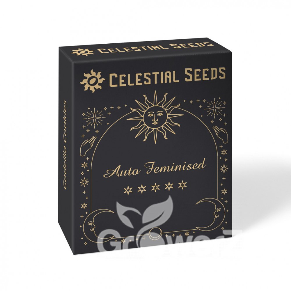 Godzilla Cookies Auto Fem.