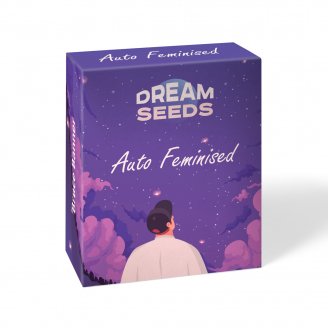 Pound Cake Auto Fem.