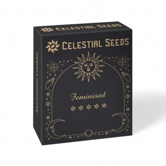 Семена конопли купить сорт Frosted Guava Fem.